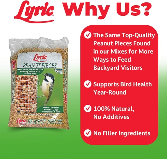 Lyric Sunflower Kernels No Waste Wild Bird Seed 25 lb Peanut Pieces - Shelled Peanuts for Wild Birds 15 lb - Perfect for Your Backyard Feeders