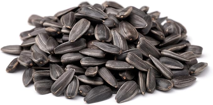 Backyard Seeds Black Oil Sunflower Seeds for Wild Birds 10lbs - Thin Shells, Premium Cardinal Food, Small Bag of Black Oil Sunflower Seeds