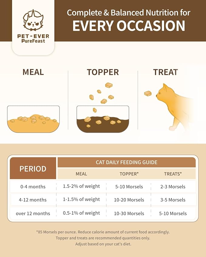 Cat Food - Freeze-Dried Food (Rabbit Receipe 400g) + Wet Canned Food (Beef Receipe 100g*6 Cans)
