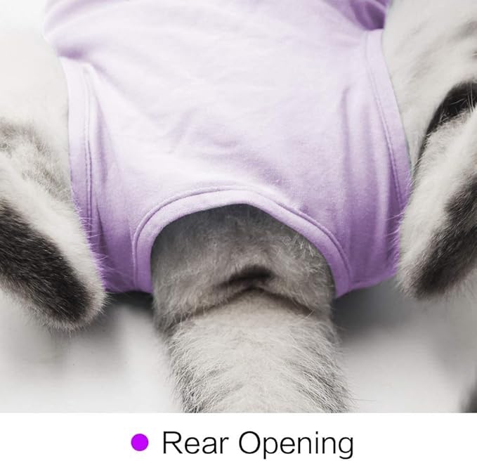 kzrfojy Cat Surgery Recovery Suit Cat Onesie for Cats After Surgery Spay Surgical Abdominal Wound Skin Diseases E-Collar Alternative Wear (Purple-S)