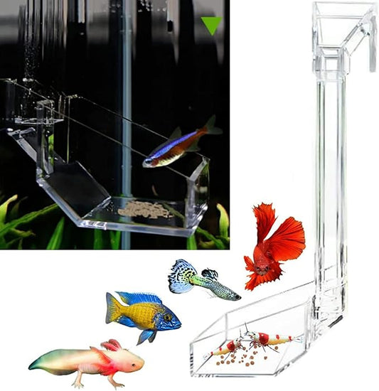 Shrimp Fish Feeding Dish, Aquarium -Sky Restaurant- Betta Feeding - Prevent Food Spilling, Fish Feeder, Also Easy to Clean Up The Food Left Over, African Feeding, Dwarf Frogs Feeding (L)