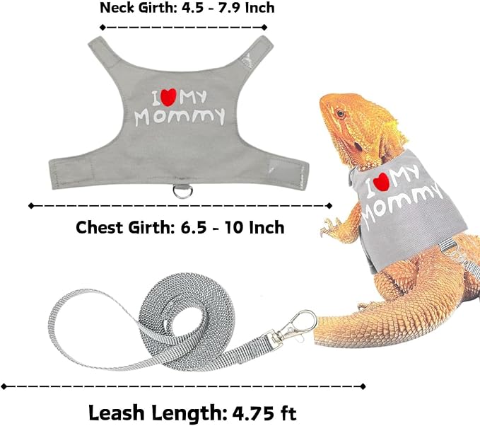 Bearded Dragon Travel Backpack Carrier with Reptile Thermometer and Humidity Gauge Lizard Travel Cage Space Capsule Clear Bubble Window Astronaut Reptile Bag for Ball Python (Green, Backpack+I LSH)