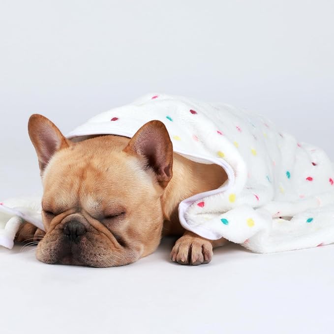 Luciphia 1 Pack 3 Blankets Super Soft Cute Dot Pattern Pet Blanket Flannel Throw for Dog Puppy Cat Small(23x16), Brown
