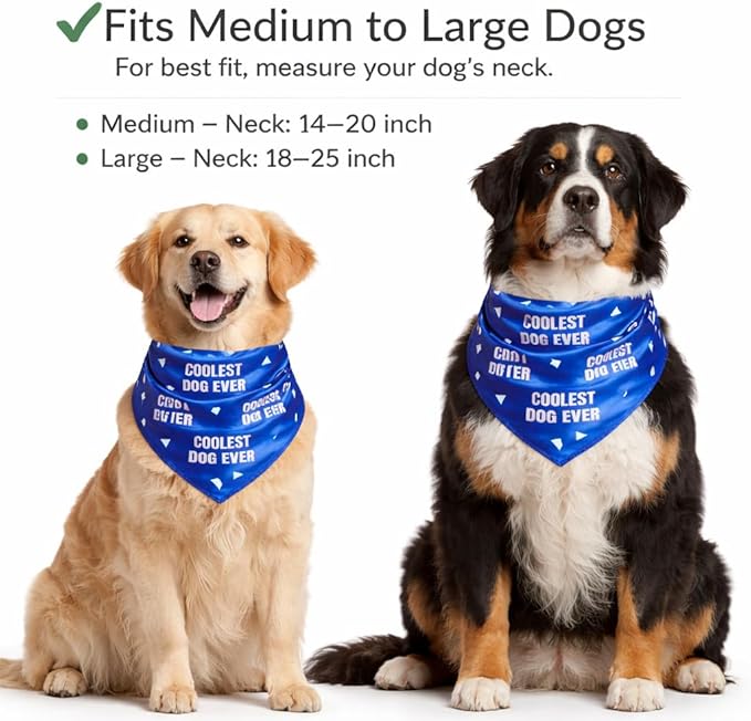 Luxury Satin Dog Bandana – Slip-On Collar Style, Premium Pet Scarf for Medium, Large & XL Dogs – Special Occasion Accessory (Collar Not Included) (Medium - Extra Large, Coolest Dog Ever)