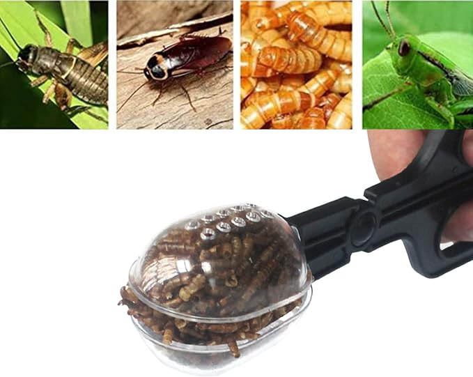 3in1 Feeding Tool Reptile Feeding Tongs Cricket Clamp Bug Scooper, Cleaning Supplies Scooper+ 2X Tweezers for Reptile, Hedgehog, Hamsters, Guinea Pig,Lizard, Spider Bearded Dragon (Black)