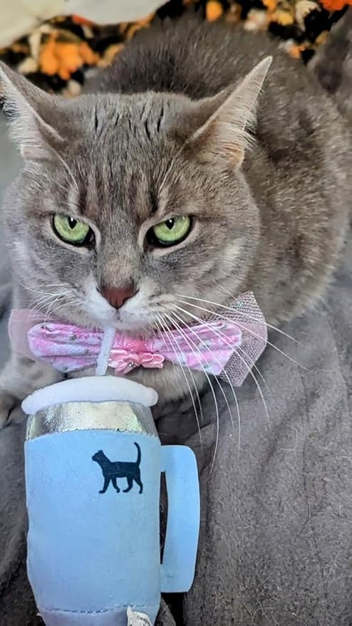 PUPROAR Kitty Cup Catnip Toy - Cute Cat Birthday Toy with Catnip & Crinkle, Funny Girly Kitten Gift (Chambray Blue)
