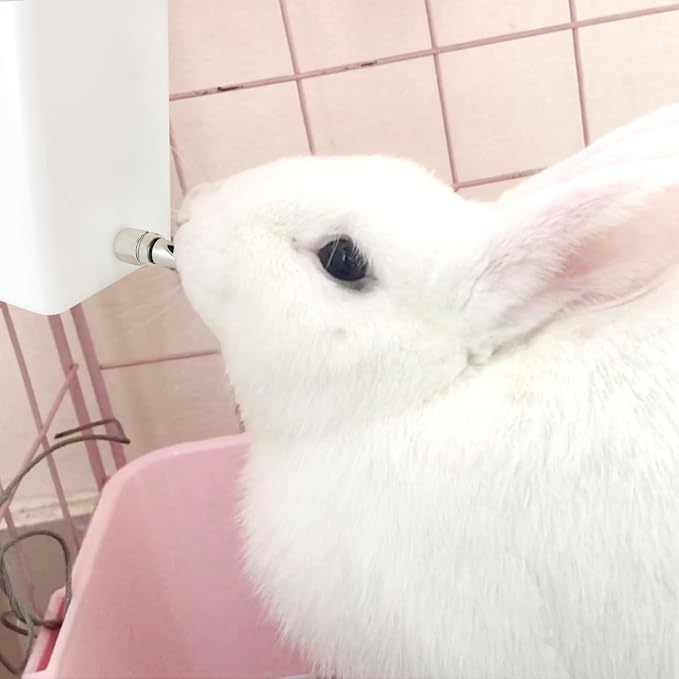 Threaded Stainless Steel Rabbit Nipples Rodent Nipples Waterer Automatic Rabbit Waterer Watering System Animal Supplies Breeding Supplies (Grey, 6)