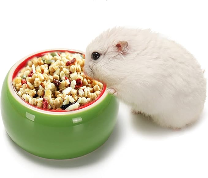 2 Pack Hamster Bowl Ceramic Prevent Chewing Feeding Bowl Guinea Pig Water Small Animal Food Dish for Syrian Hamster Rabbit Gerbil Chichilla Hedgehog Sugar Glider Rat