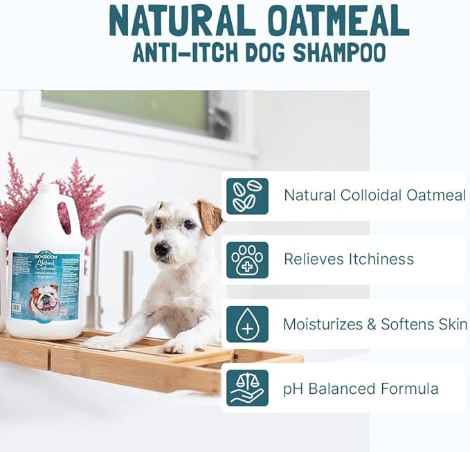 Bio-Groom Oatmeal Dog Shampoo - for Allergies and Itching, Cruelty-Free, Dog Bathing Supplies, Puppy Shampoo for Sensitive Skin, Product Made in USA, Anti-Itch - 1 Gallon
