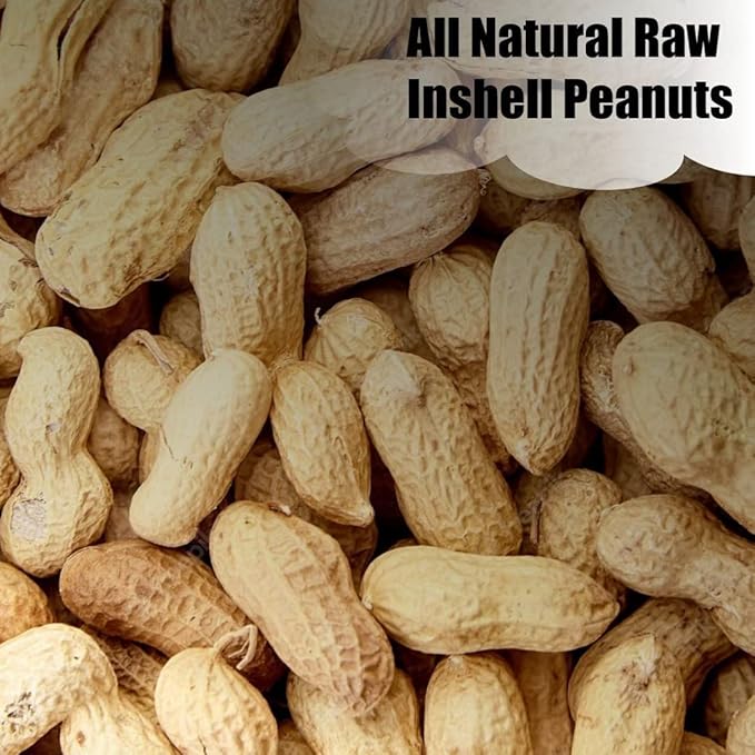 Old Potters in-Shell Peanuts, 25 lbs for Birds, Squirrels, and Wildlife. USA Grown Non-GMO, Small Farm, Raw in-Shell Peanuts. Wildlife Grade, 25 lbs.