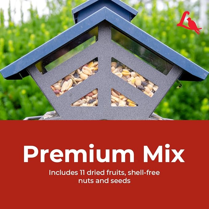 Lyric Fruit and Nut Wild Bird Seed - High Energy Wild Bird Food Mix - Attracts Woodpeckers, Chickadees & Other Songbirds - 10 lb. (pack of 2 - 5 lb bags)