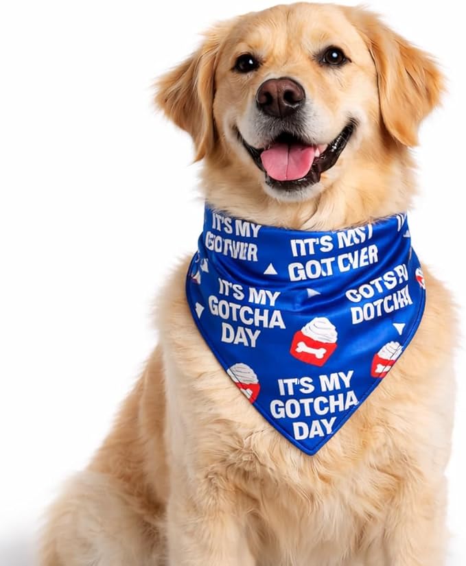 Luxury Satin Dog Bandana Slip-On Collar Style, Premium Pet Scarf for Medium, Large & XL Dogs Special Occasion Accessory for Dogs (Collar Not Included) (Medium - Extra Large, It's My Gotcha Day)