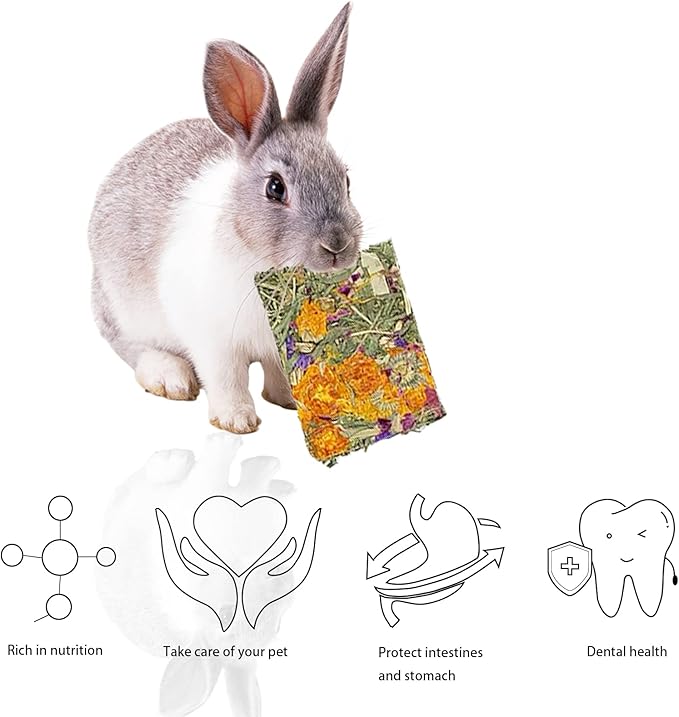 10 Pcs Rabbit Chew Toys for Teeth,Chinchilla Natural Timothy Hay Chips Treats Guinea Pig Floral Scent Snacks Treats Dental Health Chewable for Hamsters,Rabbits,Bunny,Chinchillas