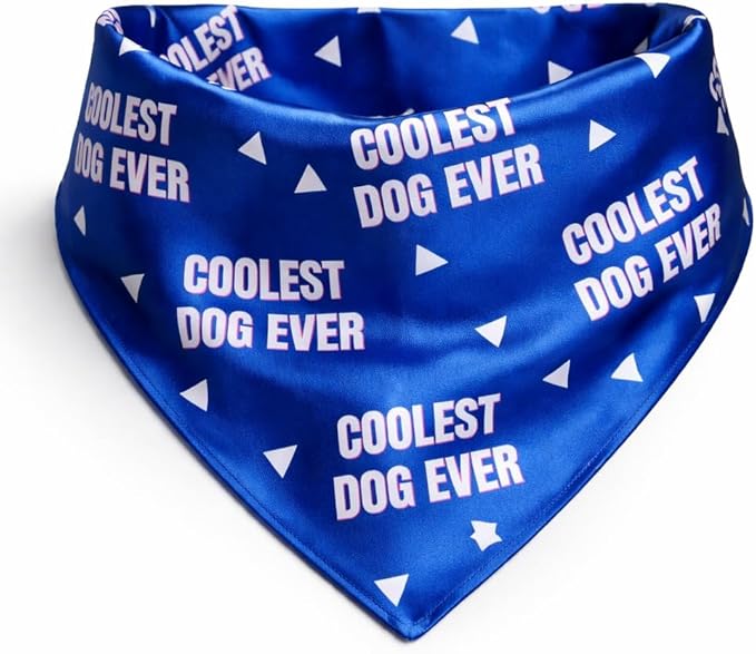 Luxury Satin Dog Bandana – Slip-On Collar Style, Premium Pet Scarf for Medium, Large & XL Dogs – Special Occasion Accessory (Collar Not Included) (Medium - Extra Large, Coolest Dog Ever)