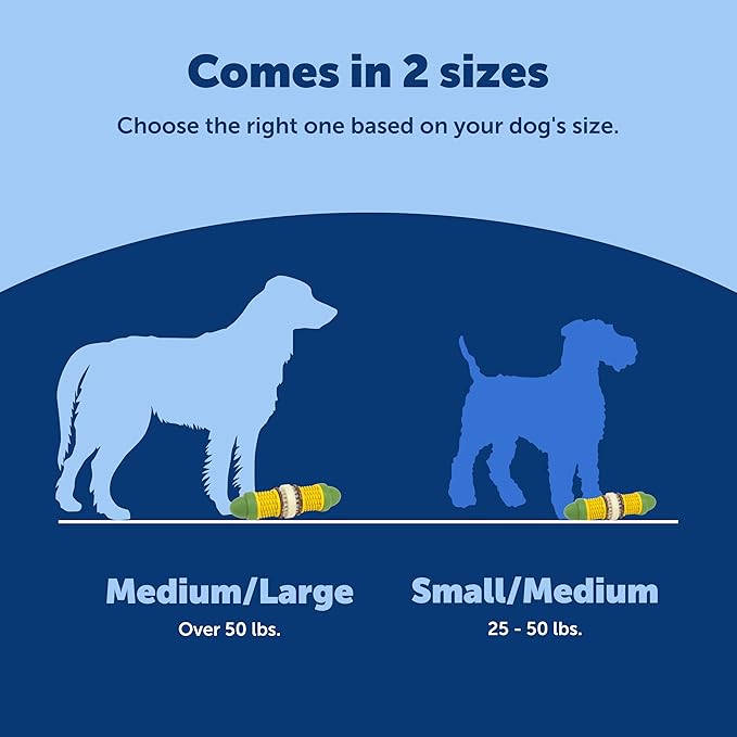 PetSafe Busy Buddy Cravin Corncob Dog Toys Treat Ring Holding Chew Toy BPA Free Rubber Butter Scented Interactive Pet Puzzle for Boredom or Separation Anxiety Small to Large Dogs