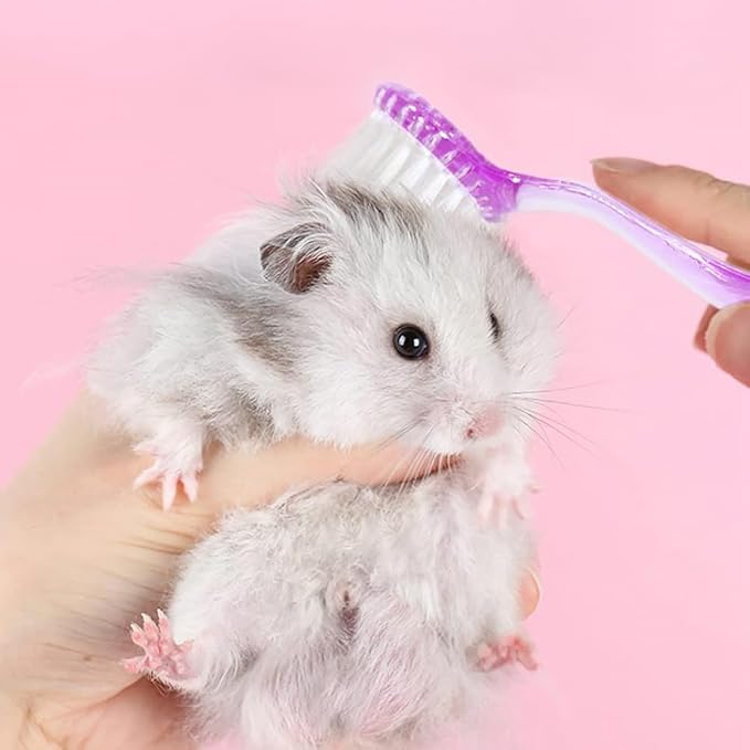 6 Pack Hamster Brush - Small Animal Bath Brush with Lid Soft Cleansing Brush Animal hair combing for Hedgehog Guinea Pig Rabbit Cat Chinchilla Ferret Small Animal Grooming Tool Cleaning Supplies