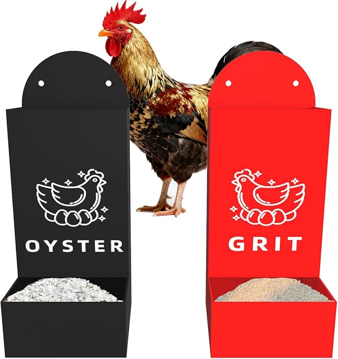 Chicken Oyster Shell Grit Feeder Coop Accessories Automatic Metal Hanging Gravity Poultry Supplies Automatic Suitable for Quail Pigeons Chicken No-Waste Design Easy to Install and Clean 2 Pack