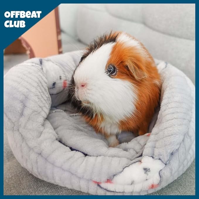 GuineaDad Guinea Pig Hideout & Tunnel Set – Plush Enrichment Toys and Accessories for Guinea Pigs – Soft Small Animal Hideaway, Tunnel, and Hiding Hut – Indoor Play for Cage or Enclosure (Pink)