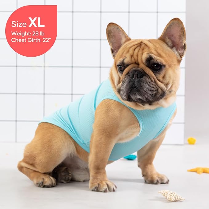 KYEESE 2Pack Dog Shirt, Lightweight Sun Protection Dog T Shirts for Small Medium Dogs Boy Girl, Breathable Mesh Tank Top Sleeveless Pet Reflective Vest, Soft Summer Dogs Clothes, Flamingo+Blue, XL