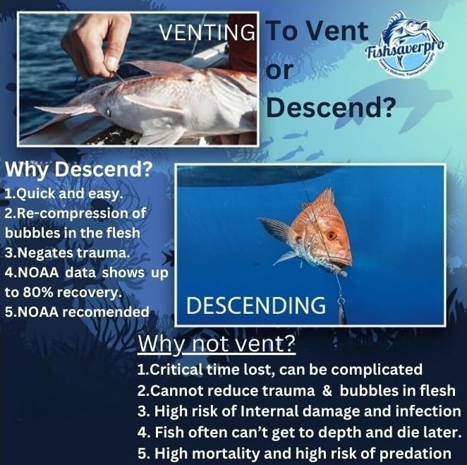 fish descending return device - 2 Pack- Compact & reliable release device built for long life. No mechanical release to fail. Great for red snapper. Unlike venting tools NOAA preferred.