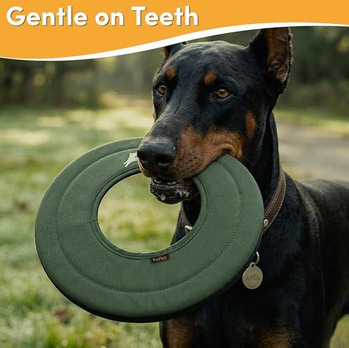 OllyDog Super Flyer, Floating Dog Disc for Water Play – Soft Durable Dog Fetch Toy, Eco-Friendly Recycled Material, Gentle on Teeth, Lightweight Flying Disc for Medium, Large Dogs (Winter Moss, 11")