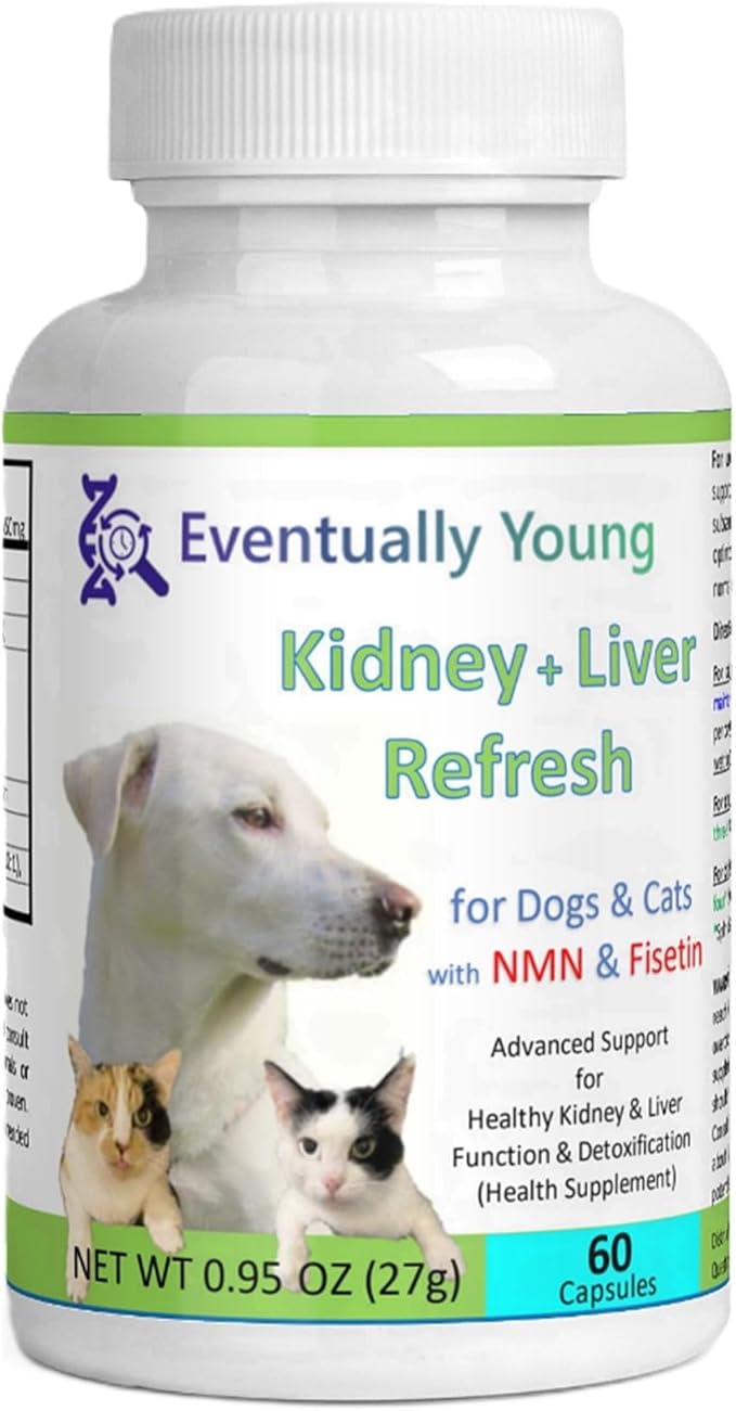 𝗘𝘃𝗲𝗻𝘁𝘂𝗮𝗹𝗹𝘆 𝗬𝗼𝘂𝗻𝗴 Cat Kidney Support for Dog & Cat with NMN & Fisetin - Super Phosphate Binder Kidney and Liver Supplement for Feline, Canine Healthy Aging & Longevity NAD+ (60 Caps)
