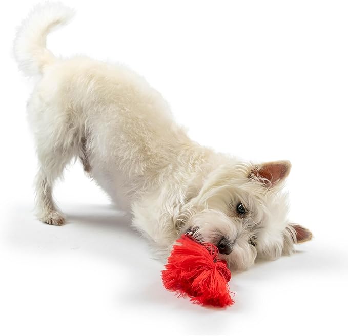 Playology Dog Toys | Dri-Tech Rope Tug of War Dog Toy for Tough Chewers | Beef Scented Medium Tug Rope Toys for Dogs