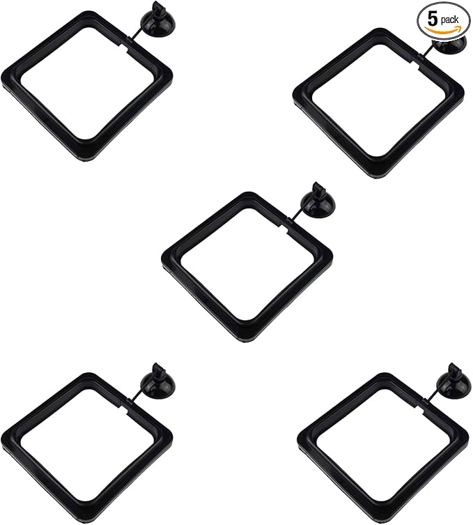 5PCS Fish Feeder Floating Square Suction Cup Feeding Ring Plastic and Rubber 3.15x3.15 Inches for Aquarium Accessories Black