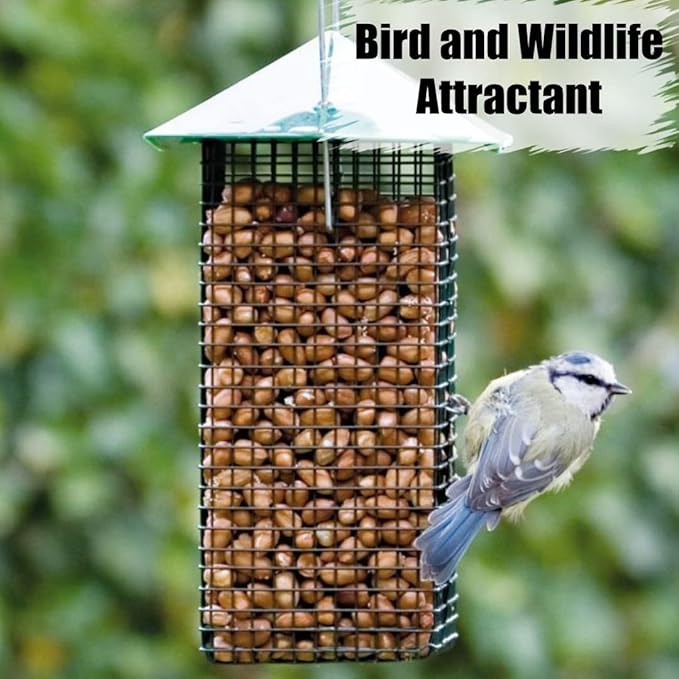 Old Potters' Wildlife Shelled Peanuts, 5 lbs for Birds, Squirrels. USA Grown Non-GMO Raw Shelled Peans. Not for Human Consumption