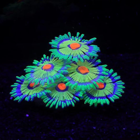 ZtohPyo Glowing Effect Fish Tank Aquarium Decorations, Artificial Silicone Plants Ornaments for Fish Tank Landscape Decor Glow in The Dark Soft Anemone for Small Fish Bowl Decor