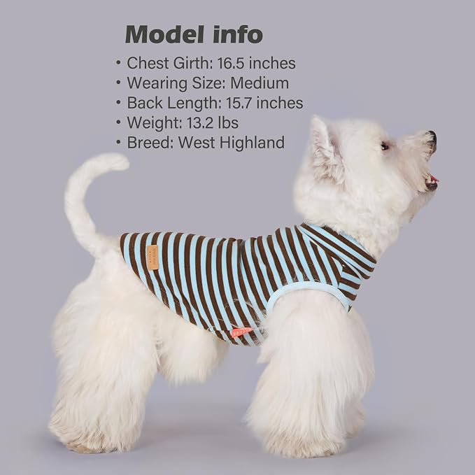 KYEESE 2Pack Dog Sweater Stretchy Dogs Clothes Soft Pets Clothes Warm Pets Coats Dog Sweaters for Small Dogs Male Turtleneck Small Pets Sweaters Pullover Pet Sweatshirt