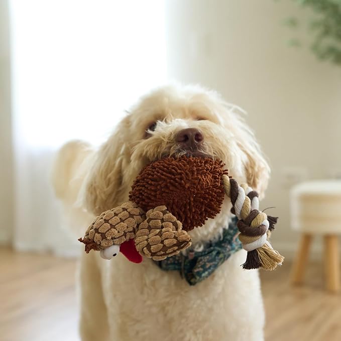 SPOT Gigglers Chicken Dog Toy with Giggle Sound, Textured Plush Tug Toy with Rope Legs, 12" for Small and Medium Dog Breeds
