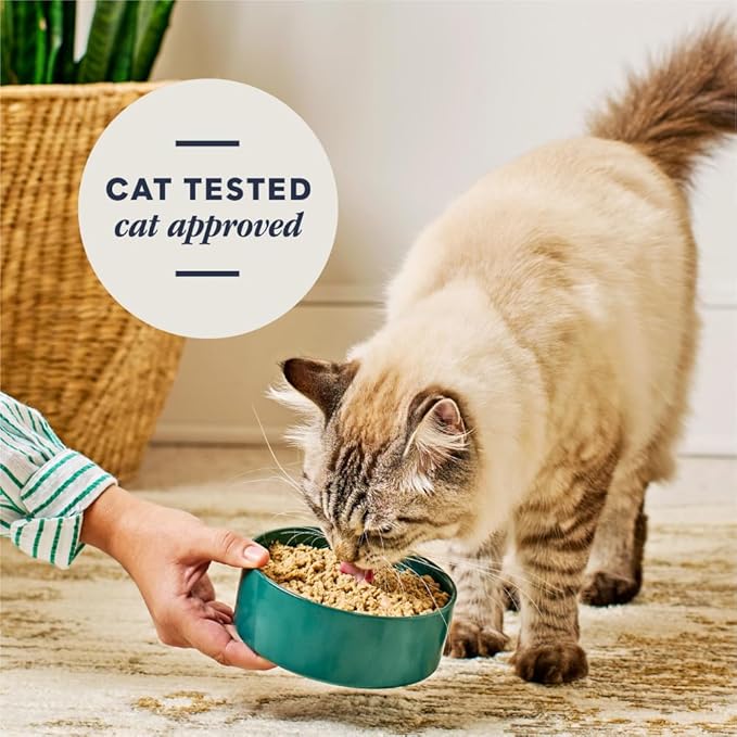 Instinct FreshDried Pates, Freeze Dried Cat Food, Grain Free - Rabbit Entrée, 3 oz. Bag