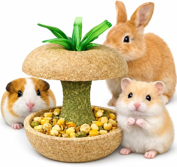 mini&moe Hamster Chew Toys for Teeth - Guinea Pig Chew Toys for Teeth Food Chews Treats Hamster Cage Accessories for Rabbit, Bunny, Chinchilla, Rat and Small Animal 3.1in Apple Core Shaped