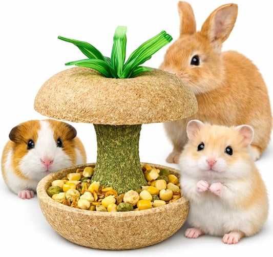 mini&moe Hamster Chew Toys for Teeth - Guinea Pig Chew Toys for Teeth Food Chews Treats Hamster Cage Accessories for Rabbit, Bunny, Chinchilla, Rat and Small Animal 3.1in Apple Core Shaped