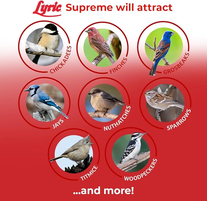 Lyric Supreme Wild Bird Seed for Outside Feeders - Wild Bird Food Mix with Nuts & Sunflower Seeds, Attracts Many Beautiful Songbirds, 40 lb Bag