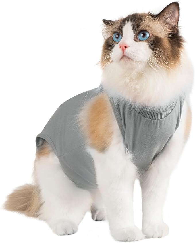 Avont Cat Recovery Sui,Post-Surgery Protective Vest Grey M | Breathable & comfortable cat onesie for cats after surgery female. Soft alternative to cone. Machine washable