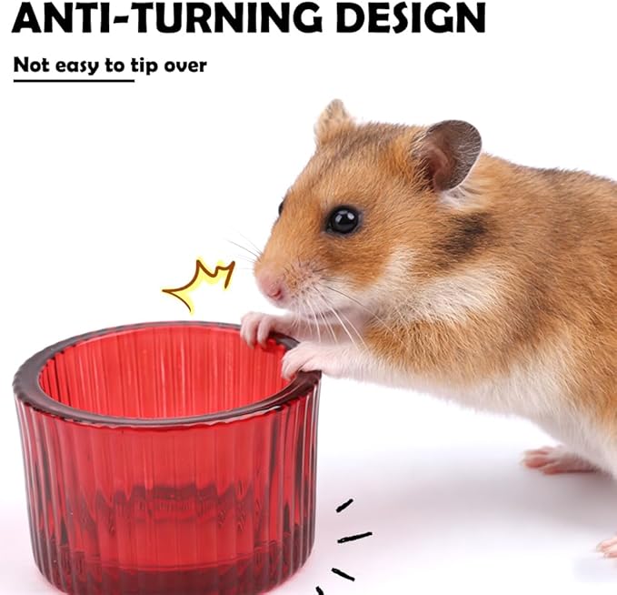 2 Pack Hamster Bowl Glass Food and Water Dish Anti-Turning Colorful Feeder for Dwarf Syrian Hamster Gerbil Mice Rat (Random Color)