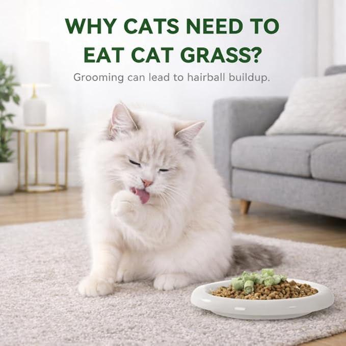 Freeze-Dried Chicken Cat Dental Treats with Cat Grass & Prebiotics, Sticks for Indoor Cats Digestive & Hairball Support, 4 oz