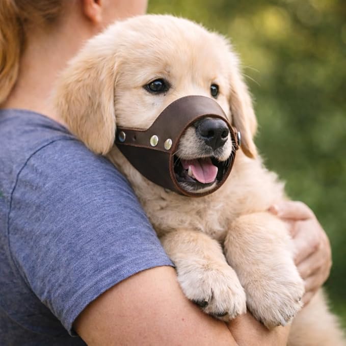 JorVet Leather Muzzle for Dog | Comfortable & Durable to Prevent Biting | Vet-Approved for Safety | Adjustable & Secure Fit | Extra Small | Brown