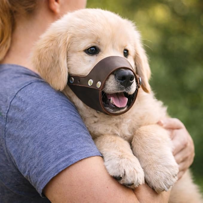 JorVet Leather Muzzle for Dog | Comfortable & Durable to Prevent Biting | Vet-Approved for Safety | Adjustable & Secure Fit | Large | Brown