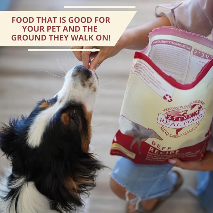 Steve's Real Food Freeze-Dried Raw Nuggets - Beef Recipe - Raw Pet Food for Dogs - 20 oz