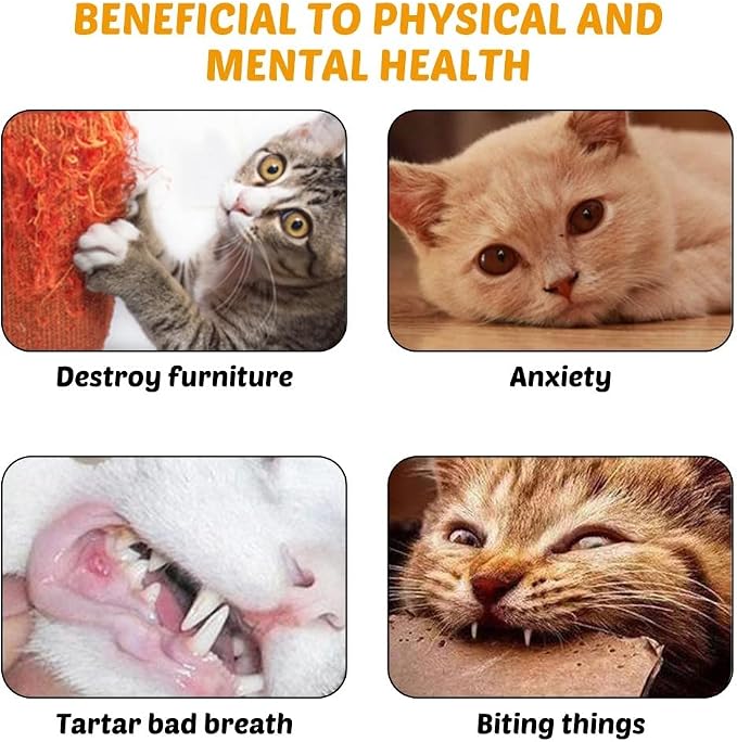 MiOYOOW Cat Toys Wand, Retractable Cat Rod 3-Section Interactive Cat Toys with EVA Non-Slip Handle for Indoor Cats Kittens(Not Include Replacement)