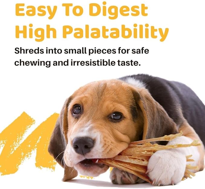 iPaw Turkey Tendon for Dogs 10 Packs/Box Bulk Pack, Single Protein, Hypoallergenic, All Natural Human Grade Puppy Chew, Dog Treats for Signature Series, Rawhide Alternative