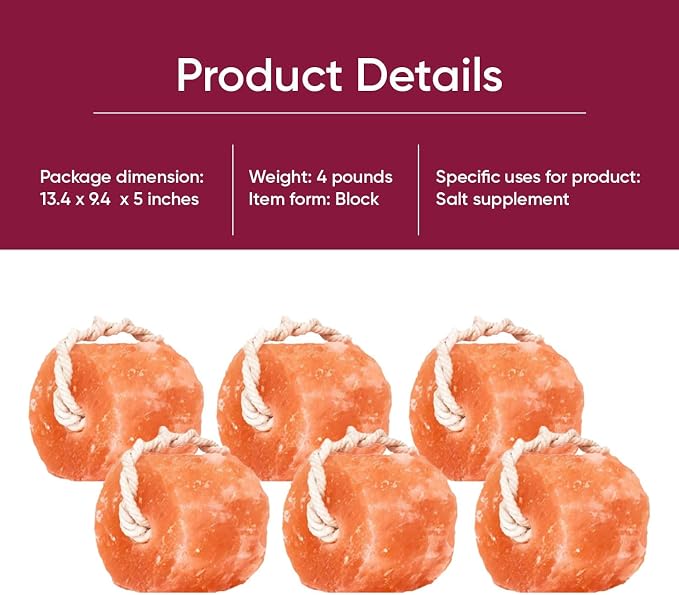 Glowyn Himalayan Salt Lick-Natural Minerals Block on Rope - 4.0 lbs. (6 Packs) - Great for Horses, Cattle, and Live Stock– Long Lasting – Pink Salt Lick