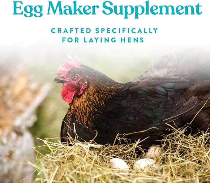 Manna Pro Omega Egg Maker, Chicken Feed Supplement for Laying Hens, Poultry Food with Omega-3 Fatty Acids, Digestion Support with Fortified Vitamins & Minerals, 5 lbs