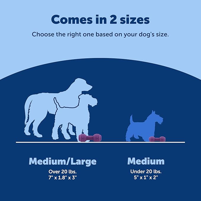 PetSafe Busy Buddy Chuckle, Medium/Large