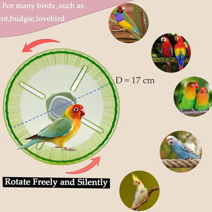 Birds Running Wheel Exercise Toys, Parrot Hamster Exercise Wheel Toy, Quiet Running Wheel for Parrots Bird Parakeets Hamster Guinea Pig Budgie Lovebird and More (Green)