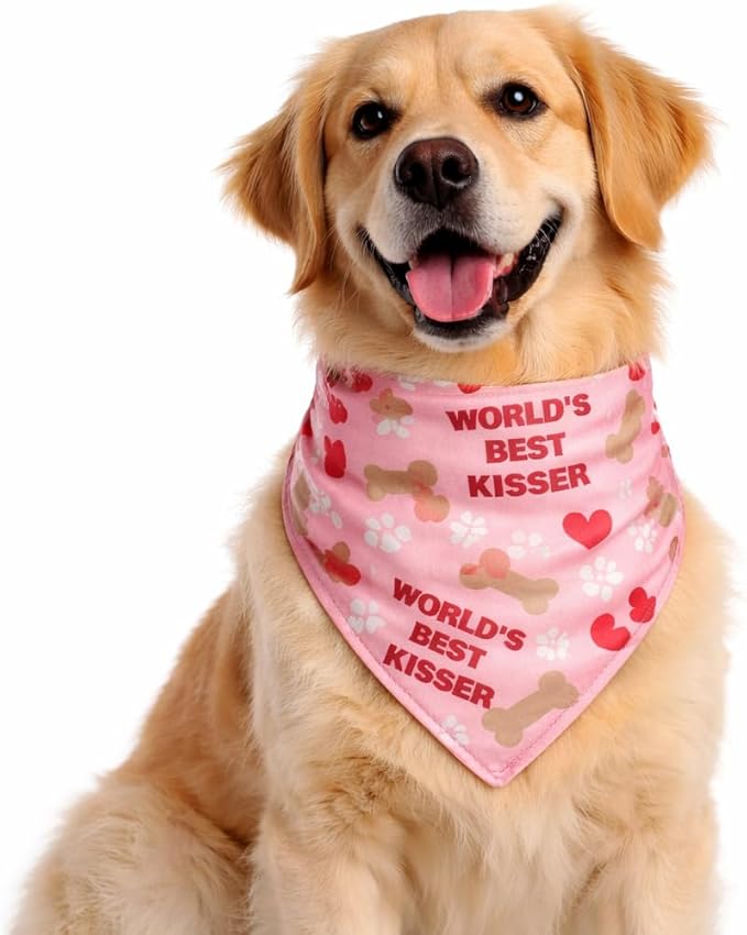 Luxury Satin Dog Bandana – Slip-On Collar Style, Premium Pet Scarf for Medium, Large & XL Dogs – Special Occasion Accessory (Collar Not Included) (Medium - Extra Large, World's Best Kisser)