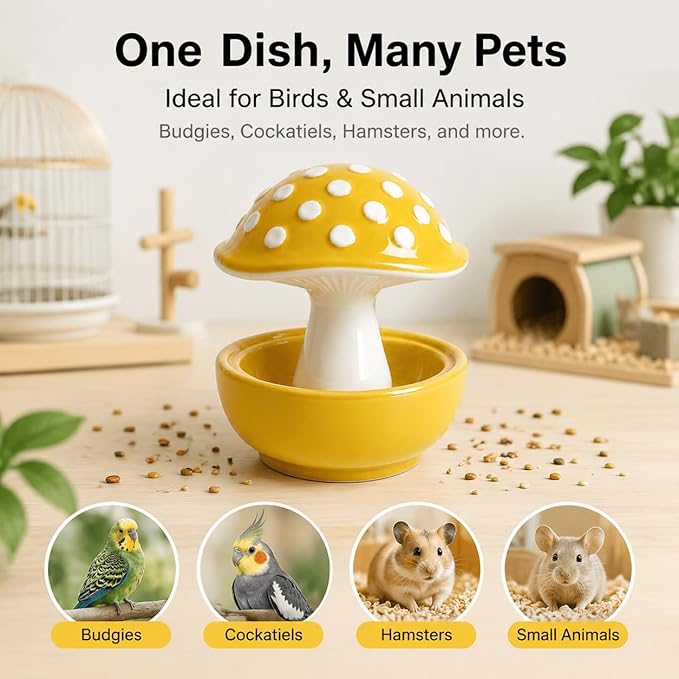 Cute Mushroom Ceramic Bird Water Dispenser & Seed Bowl, Premium Glazed Anti-Dust Feeding Dish for Small Parrots, Conures, Hamsters, Heavy Duty Cage Accessory